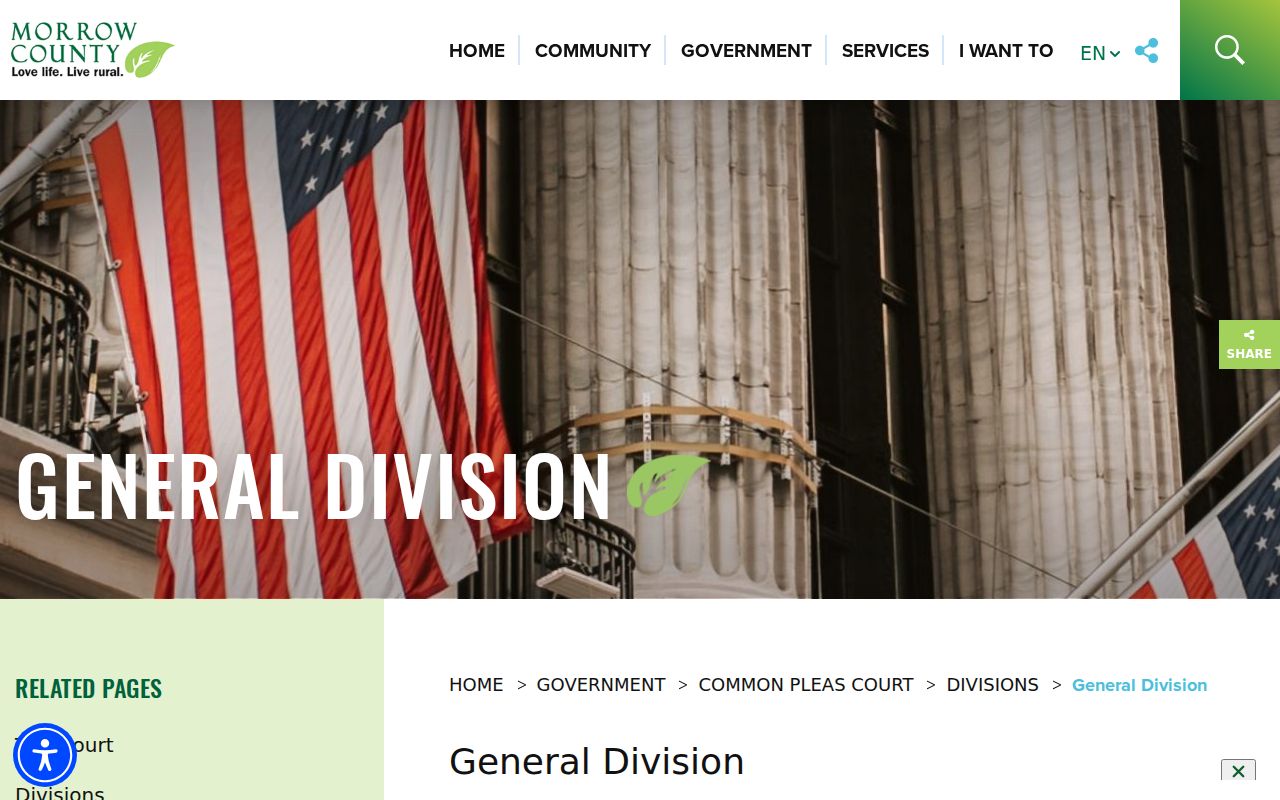 Morrow County criminal docket Common Pleas General Division official page